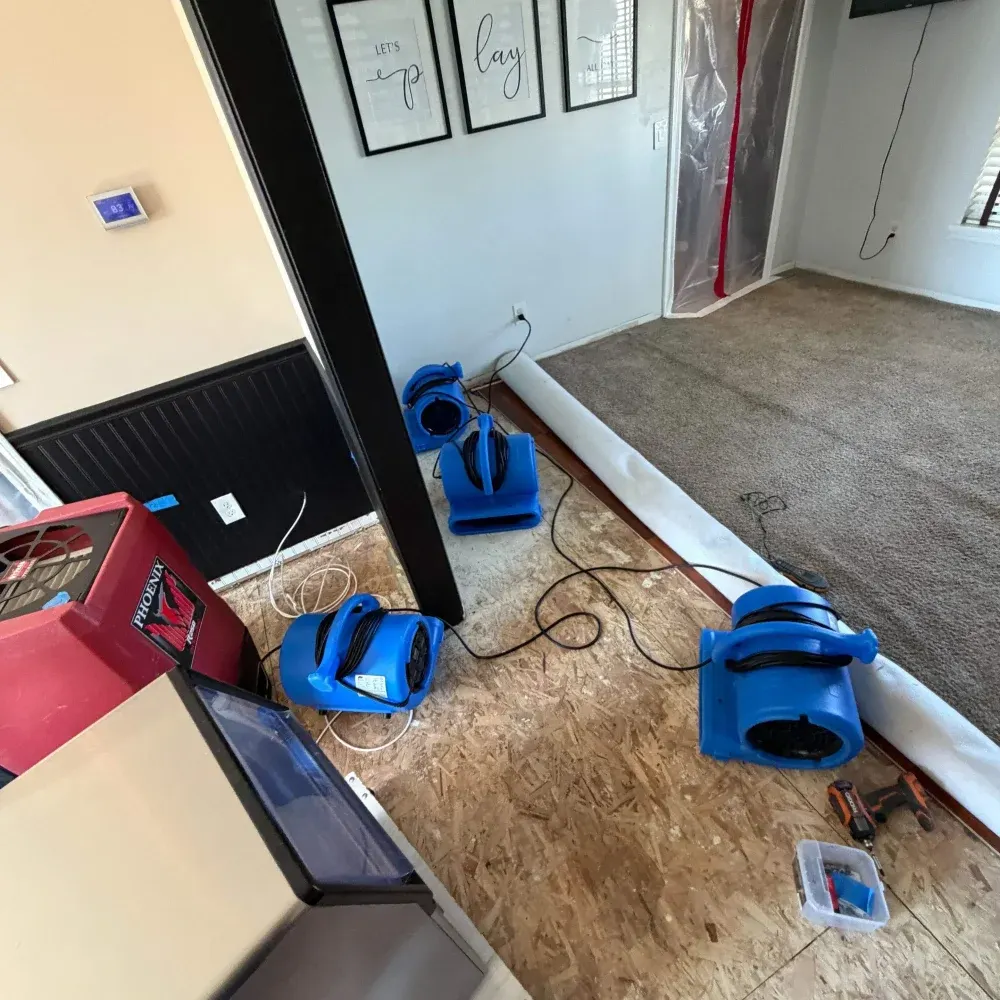 IICRC certified drying setup in Madison County, IN